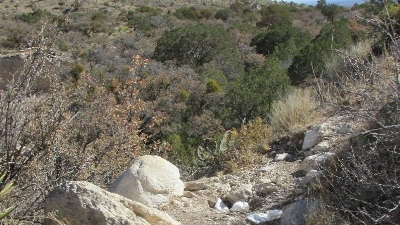 White toilet paper lays along a desert mountain landscape