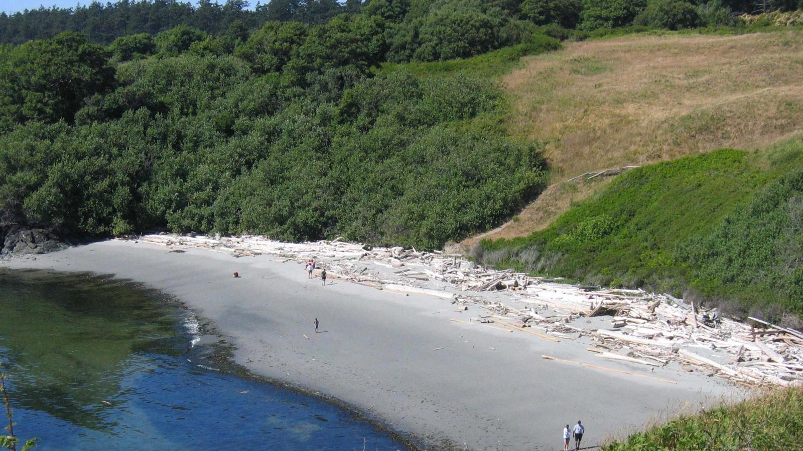 small section of beach with gray sand and bleached driftwood. There are a couple people on the beach