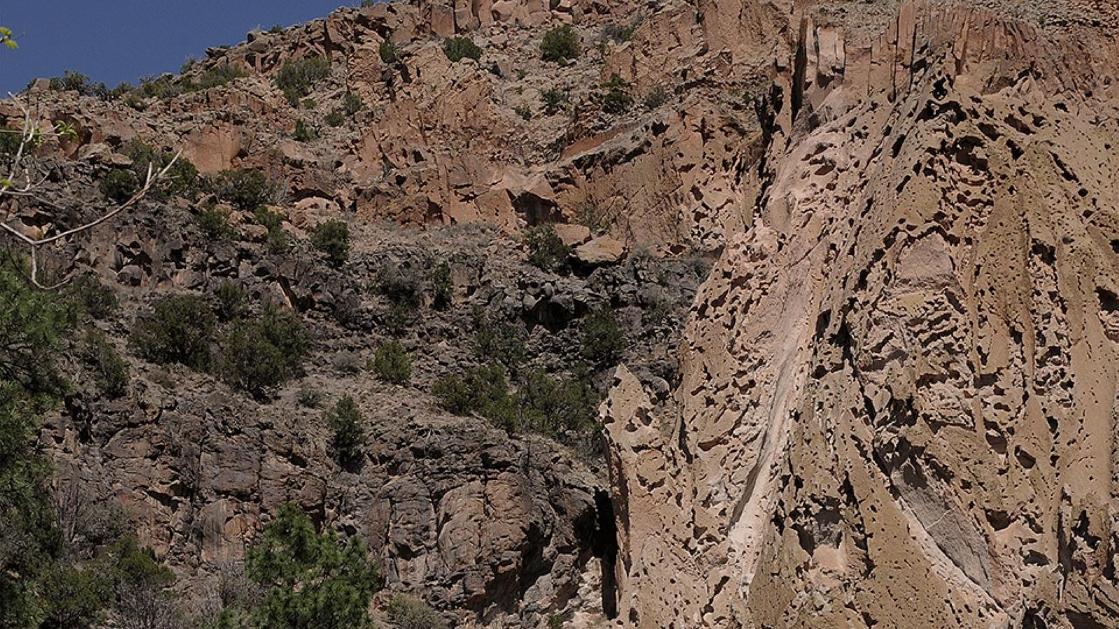 A jagged cliffside with low trees. Dark rock on the left transitions into tan rock with many holes.