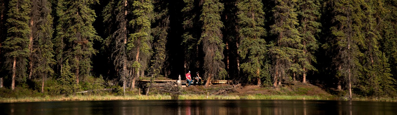 people sitting on a forested lakeshore
