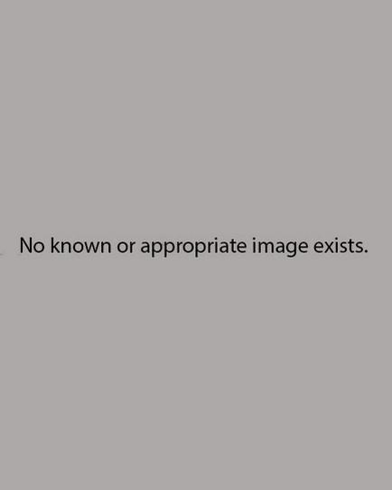 a grey box with the words 'No Known or Appropriate Image Exists"