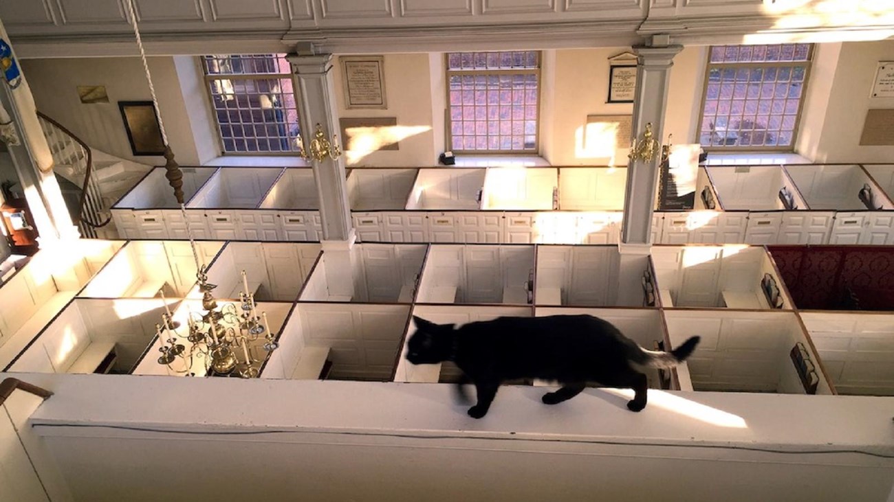 A black cat walks along an upper floor ledge that overlooks pews in a church.