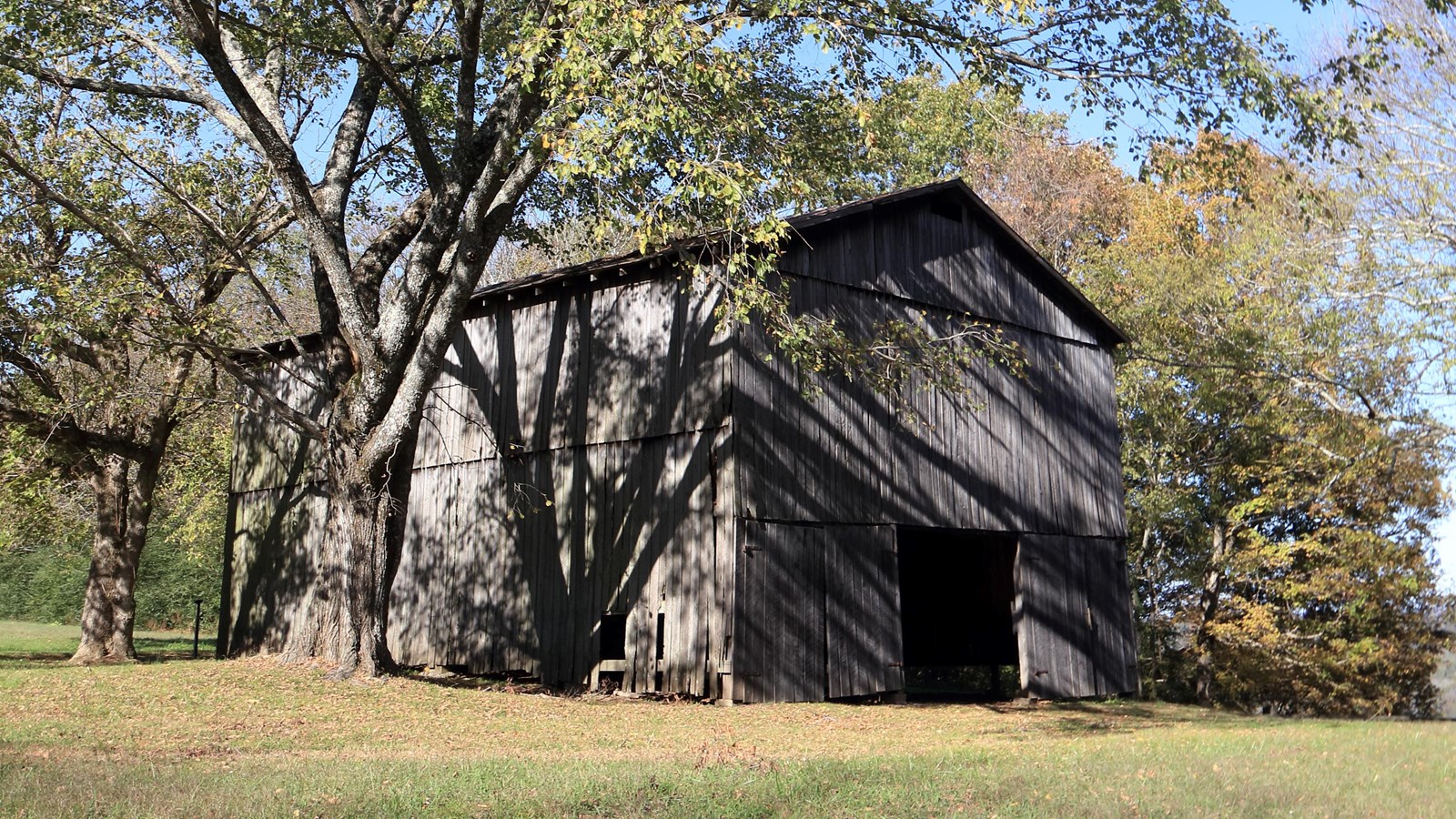 Weathered wooden barn with sliding doors on the front. A large shade tree towers over the barn.