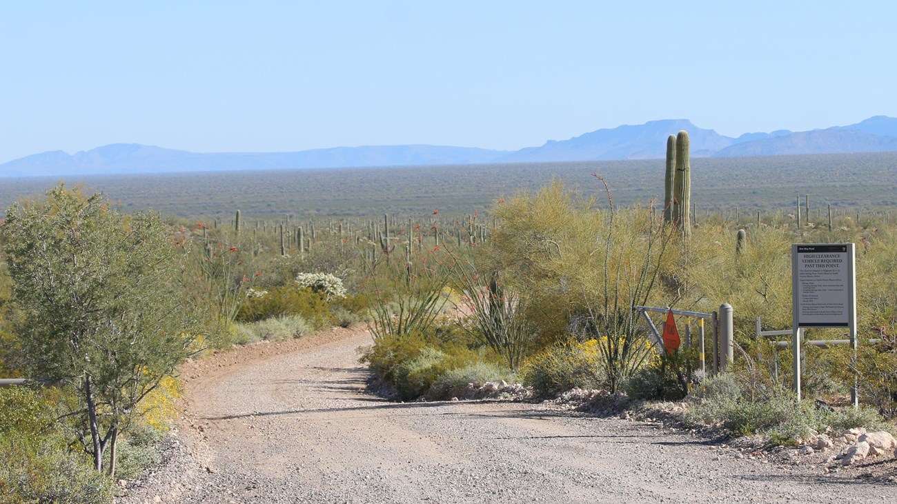 Dirt road leading into the desert. At the entrance is a gate and sign about border activity.