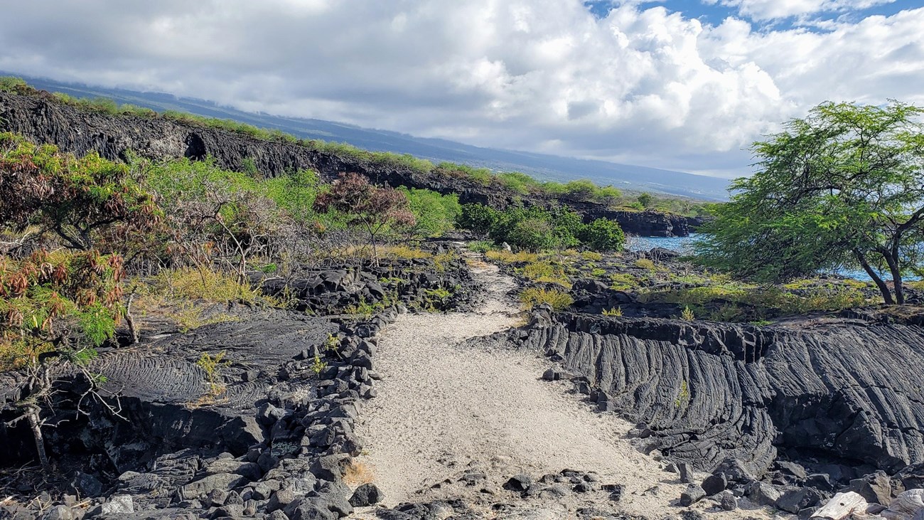 A sandy trail leads out along the coastline surrounded by black lava rock and vegetation.
