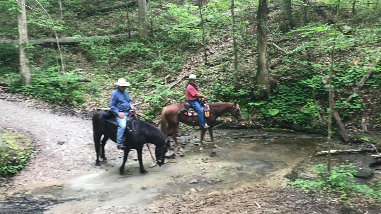 Two people on horseback cross a small stream