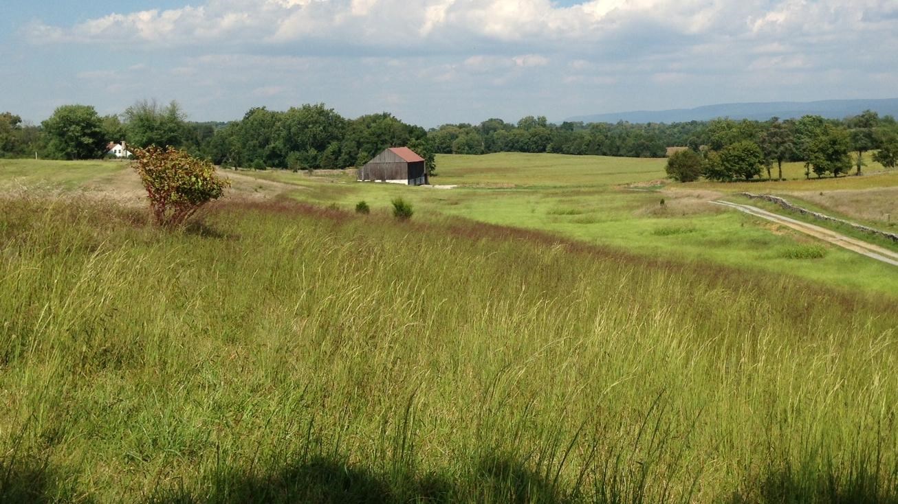 grass fields with farm buildings in the background