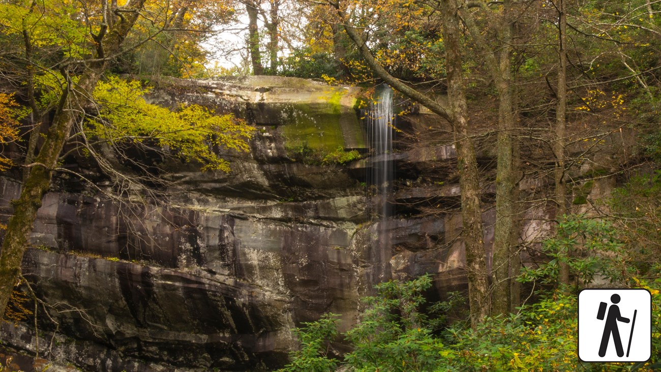 A thin waterfall on a rocky cliff surrounded by trees. Hiker icon in corner.