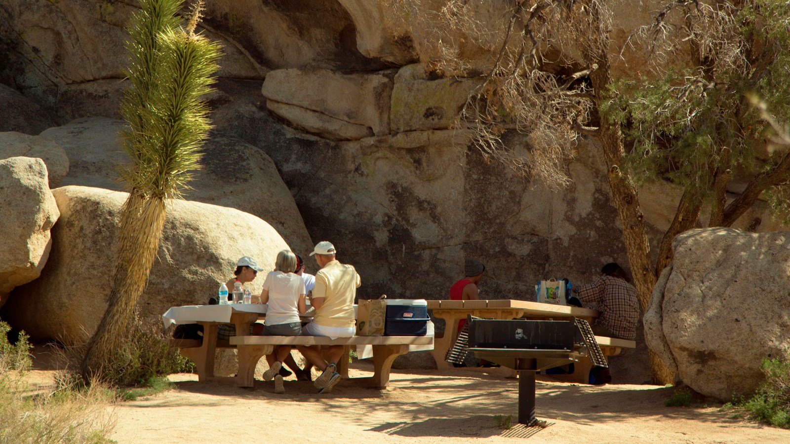 People sitting at a picnic table in front of a large rock.