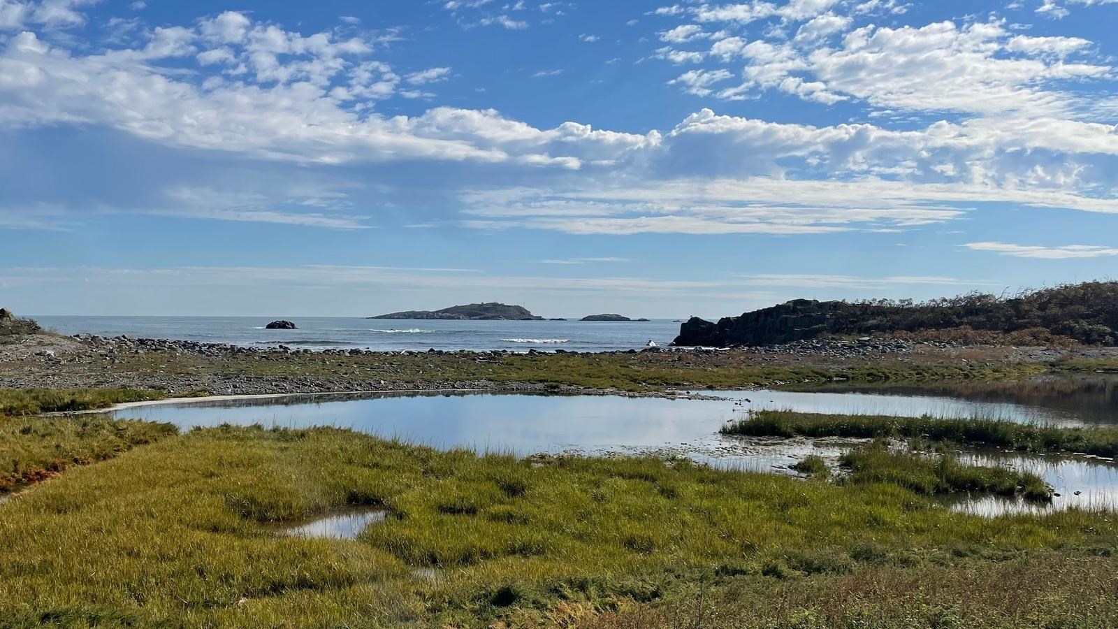 View from standing on Calf Island looking out into the harbor with a bright blue sky with clouds