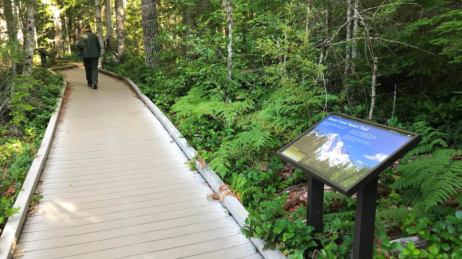 A wayside panel in a metal stand next to a boardwalk surrounded by forest.
