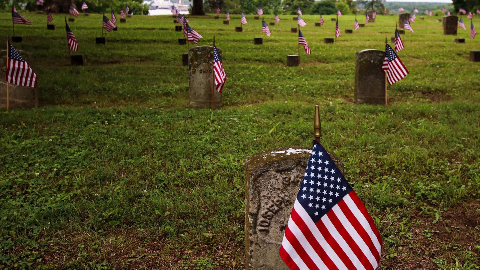 Rows of military headstones with small American flags surrounded by trees.