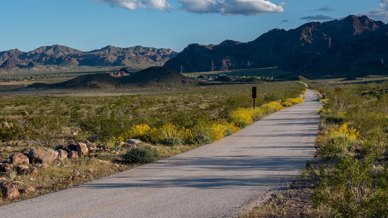 A path cuts through a desert landscape with mountains in the backround.