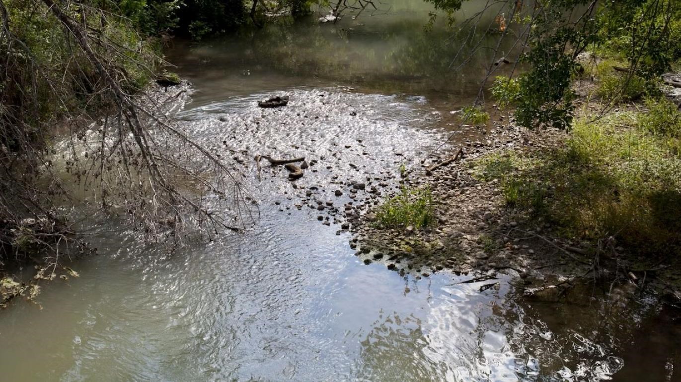 A small river or stream surrounded by foliage.