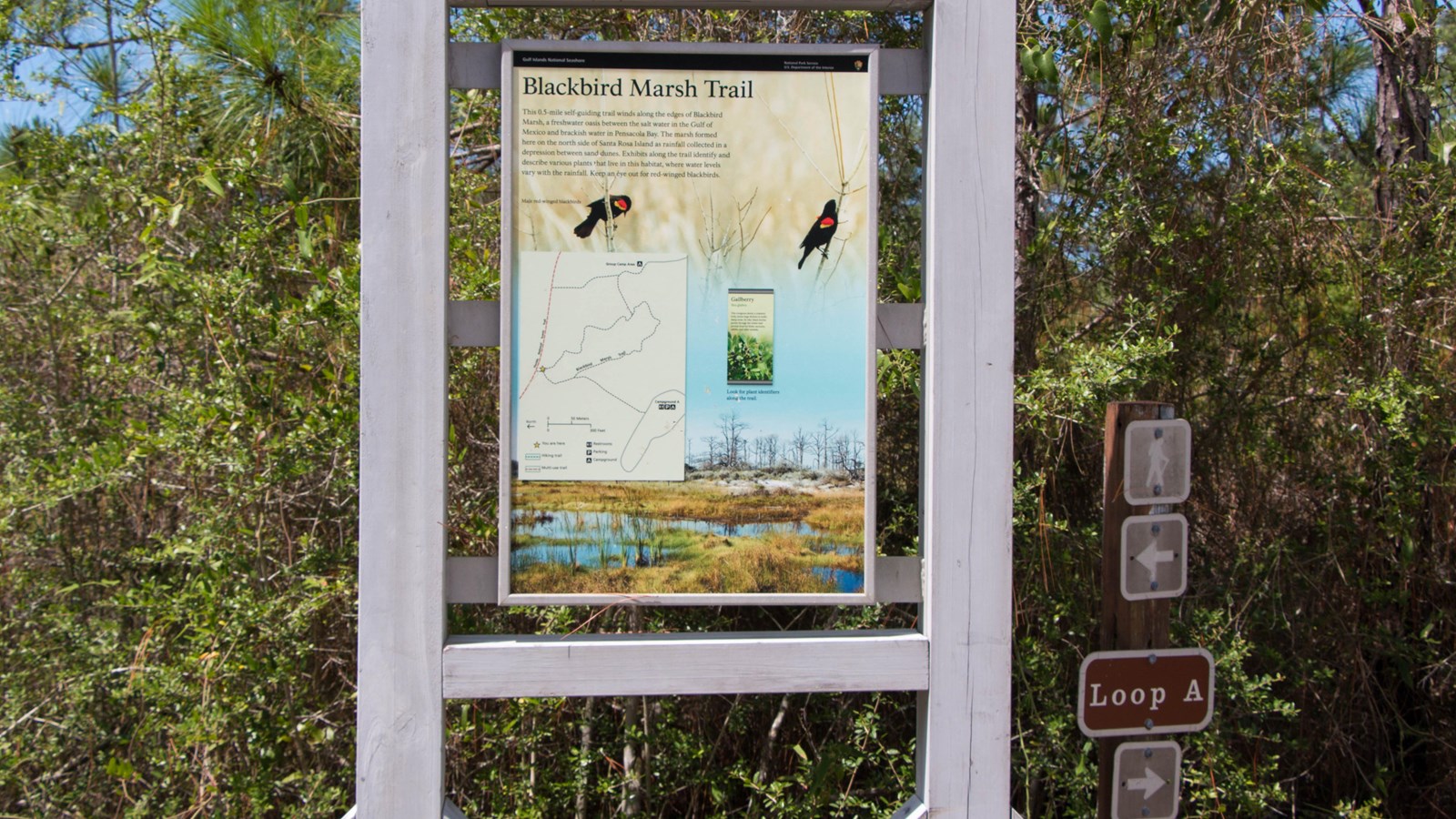A sign marks the start of the Blackbird Marsh Trail