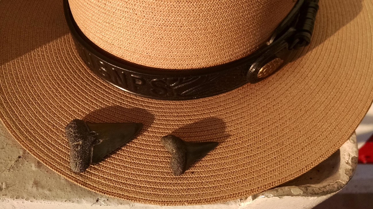 Ranger hat with shark teeth