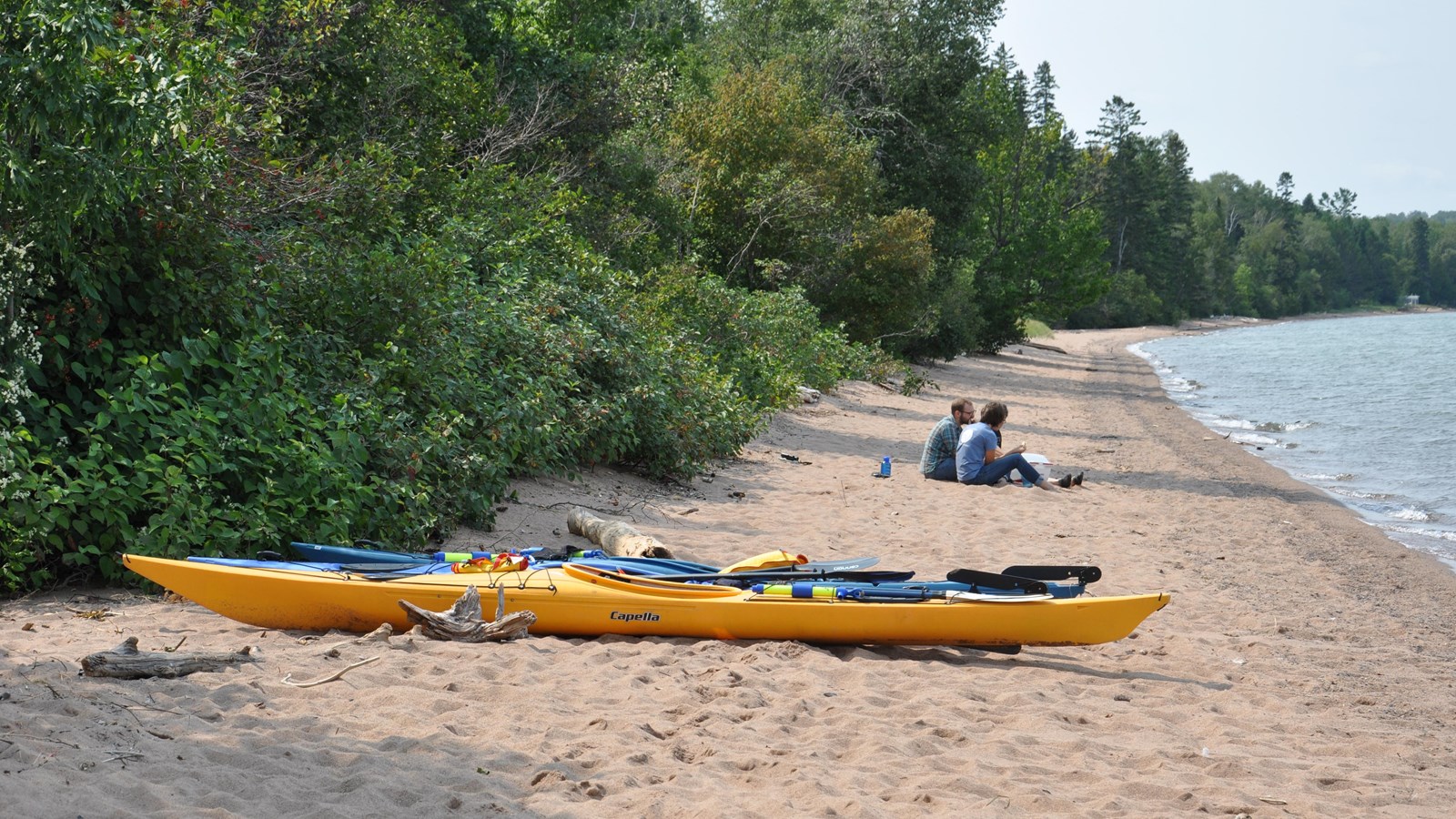 Two people sit on a sandy beach near the edge of a forest with two yellow kayaks on shore. 