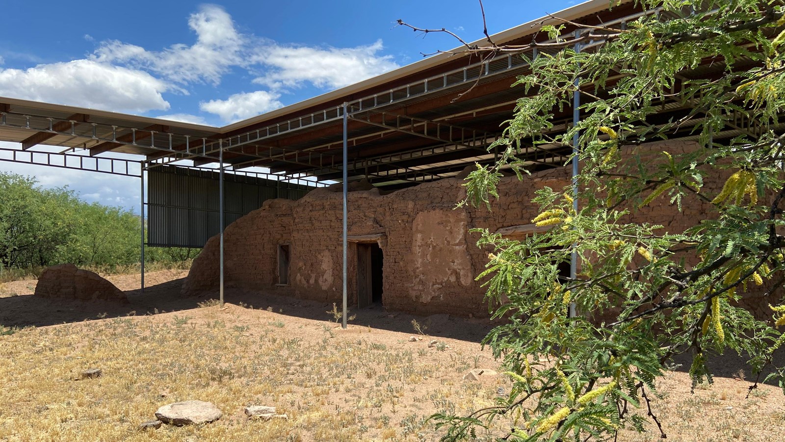 adobe brick ruins sheltered by large metal roof, mesquite branch in foreground