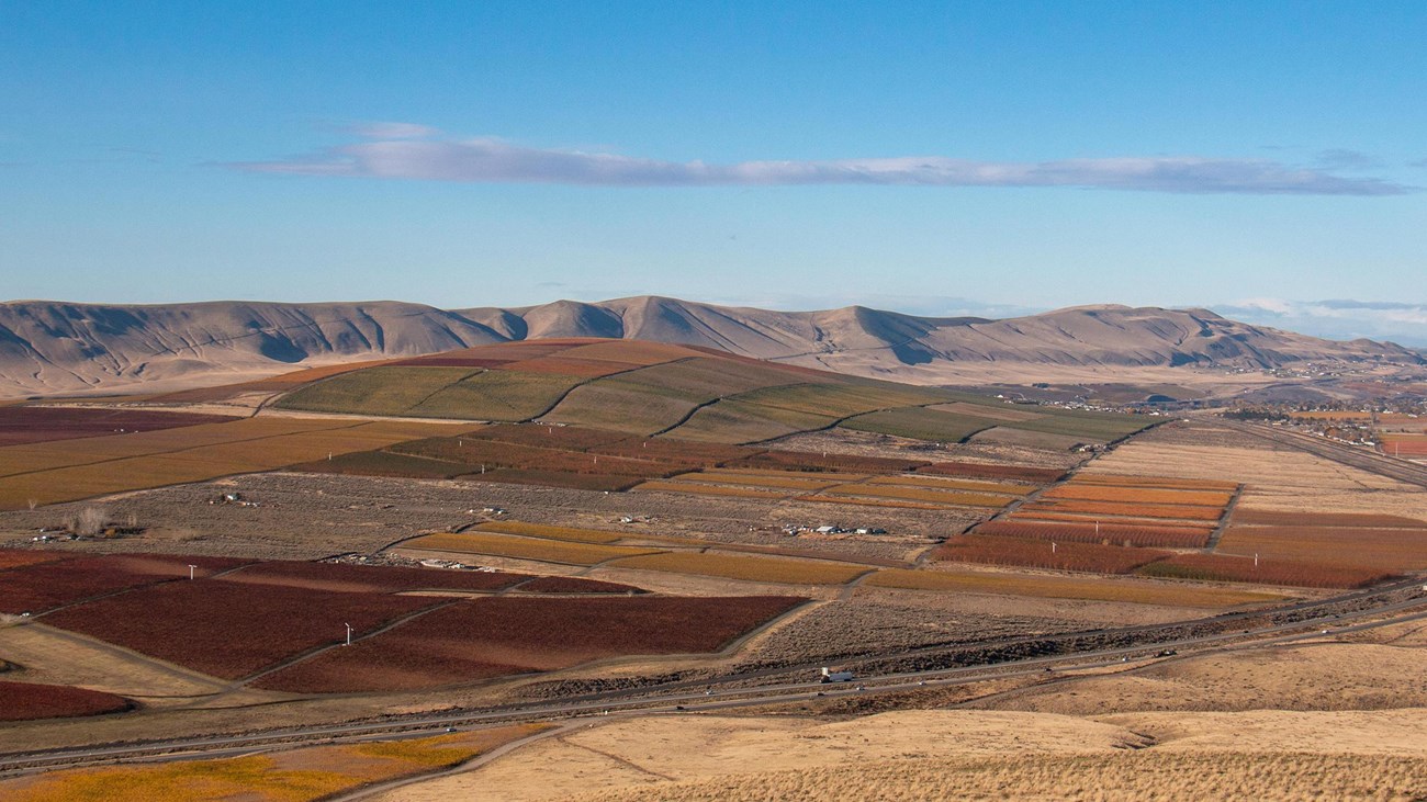 Color photograph of an expansive landscape with a patchwork of agricultural fields.  