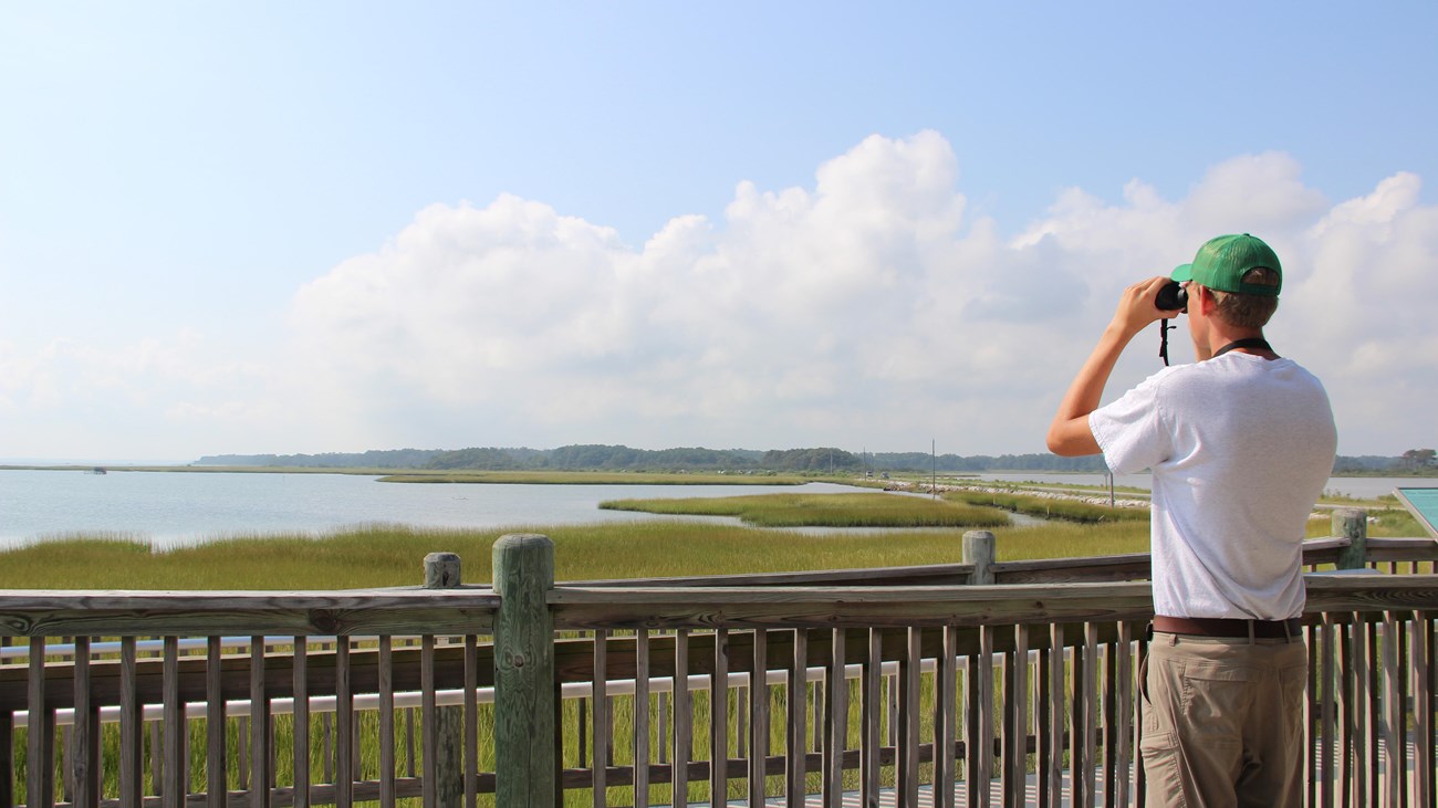 A volunteer using binoculars to bird from the deck of Toms Cove Visitor Center