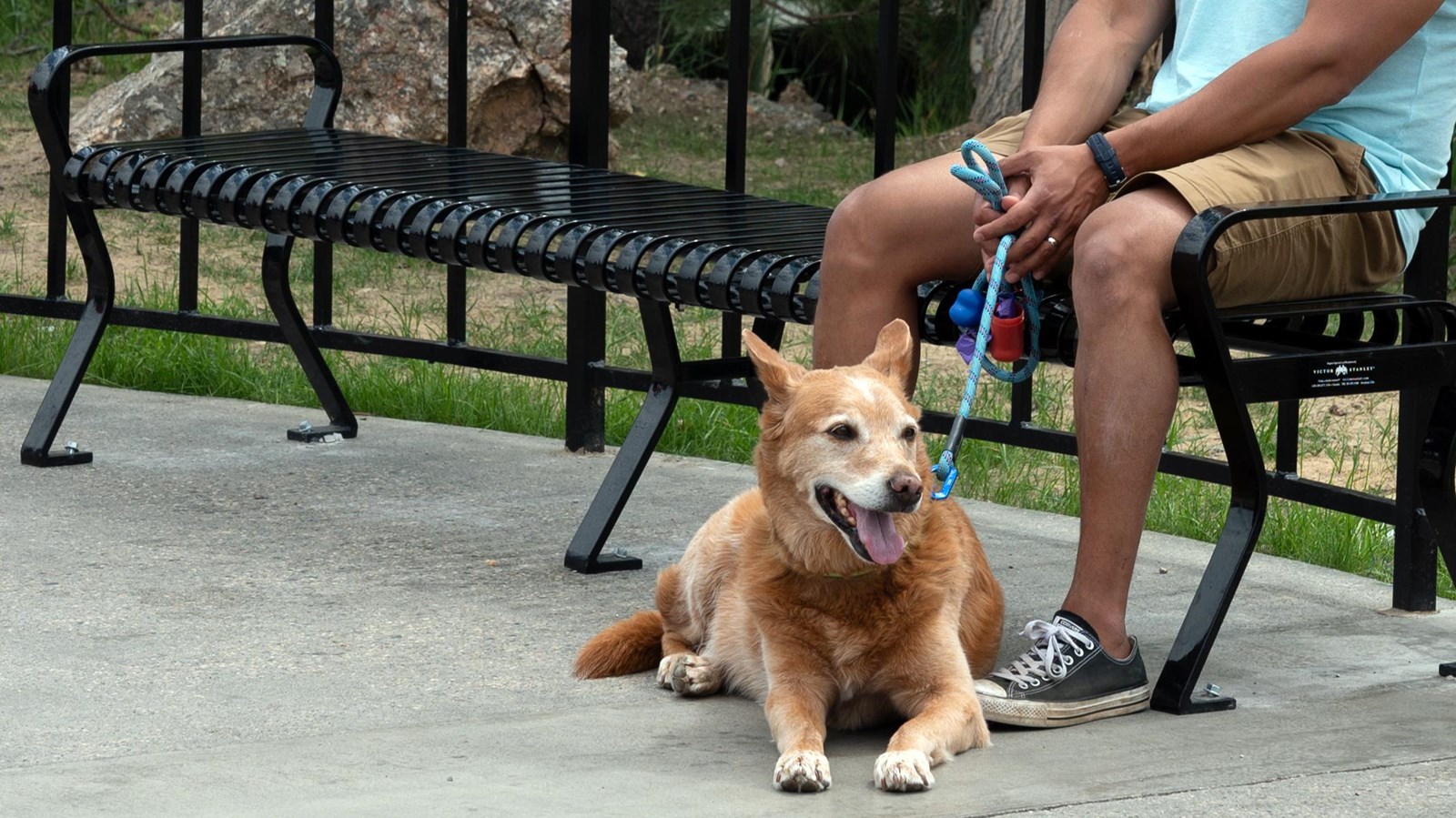 A male visitor sitting on a bench holding the leash of a yellow dog lying near his feet.