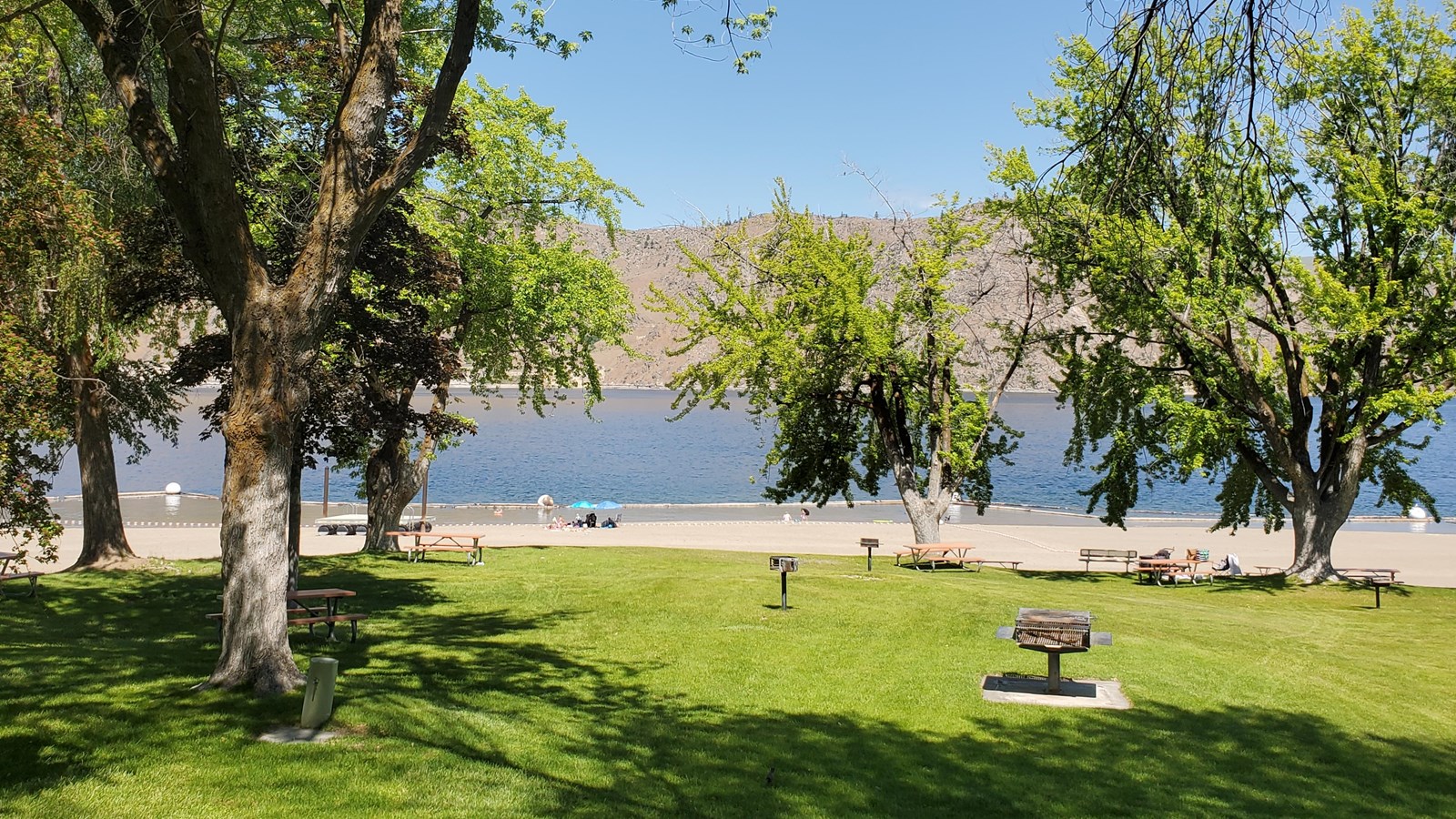Green grassy lawn is surrounded by tall, shady trees and a few rusty grills.