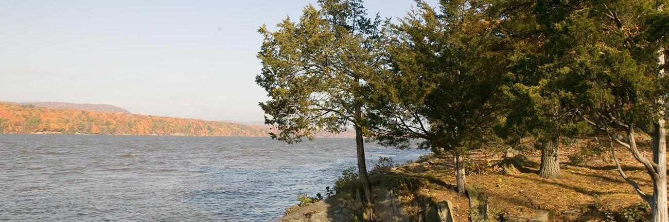 A River with a wooded setting in the foreground.