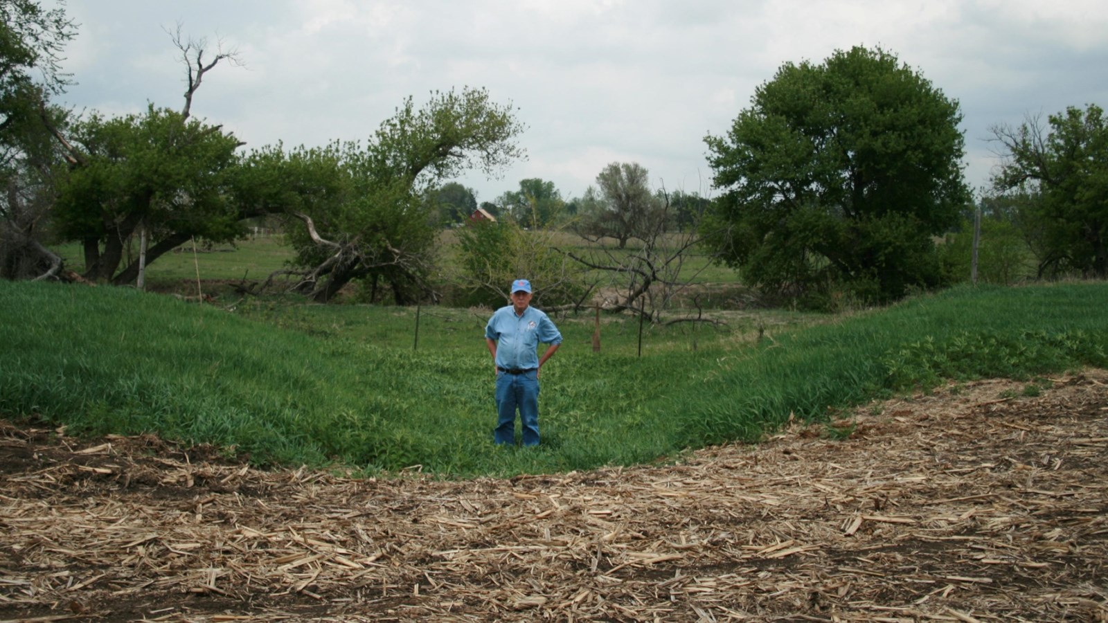A person stands in a swale in a grassy field.