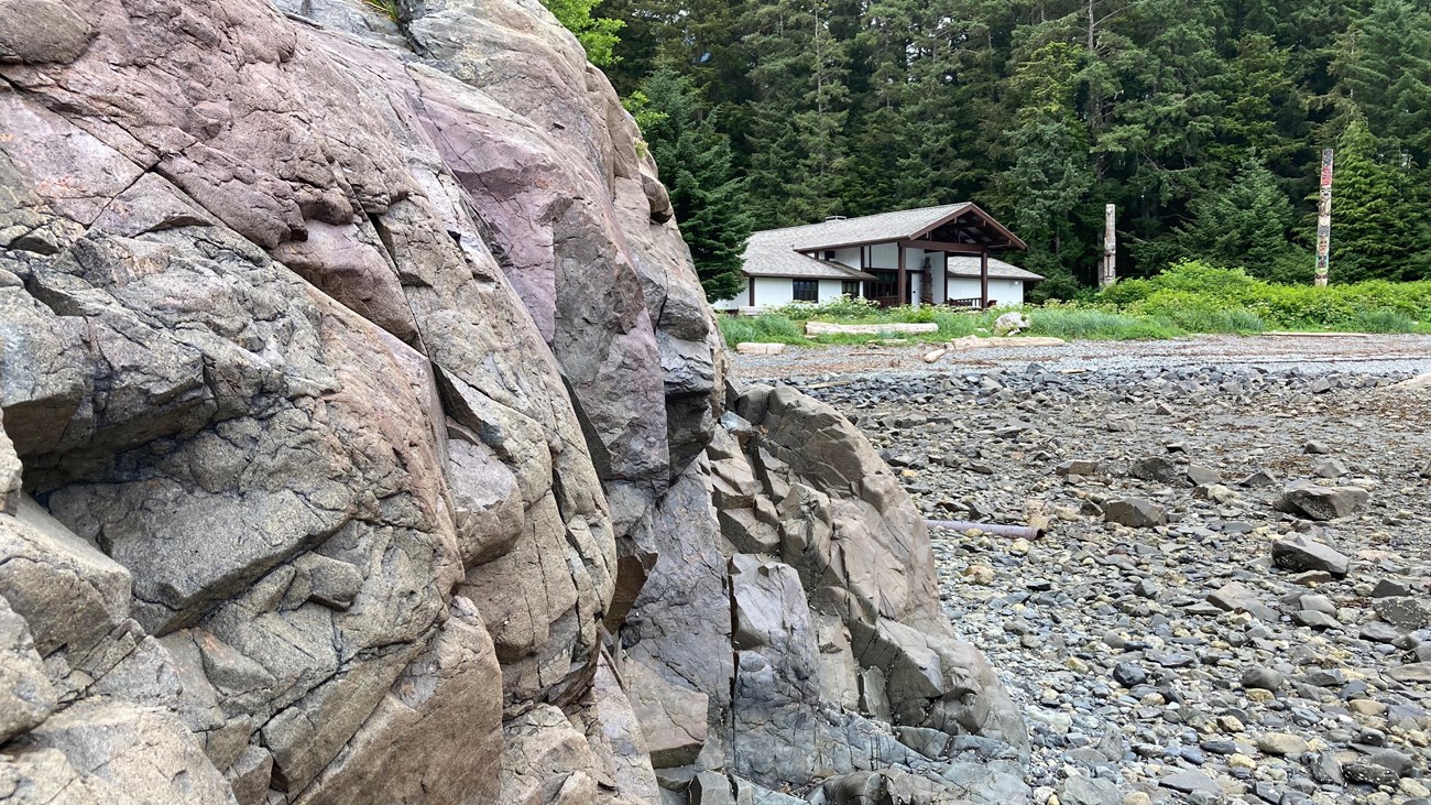 Bus-sized outcrop of almost uniformly gray rock with perceptible grains on a tidal flat