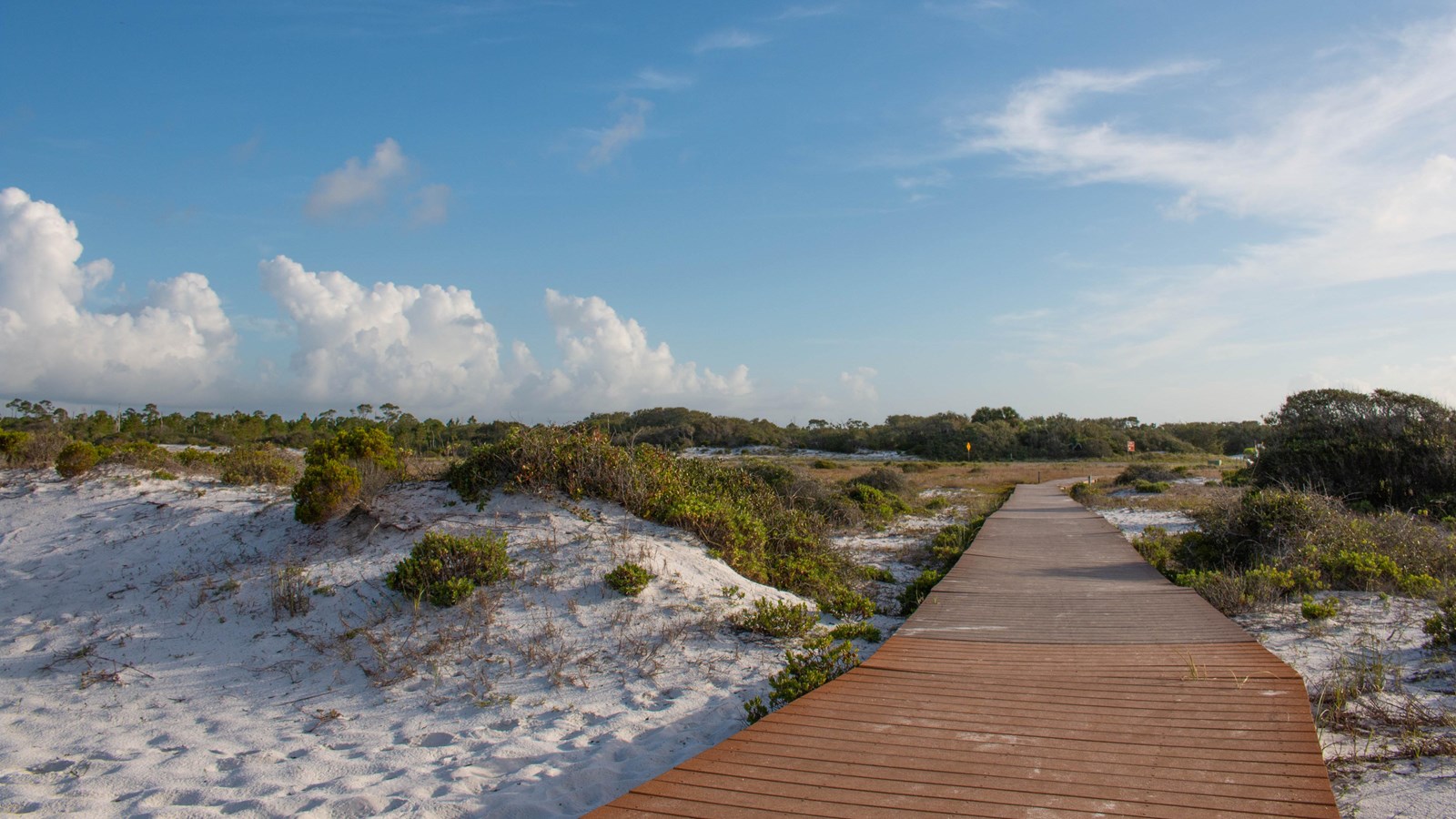 A boardwalk leads into a sandy dunescape.
