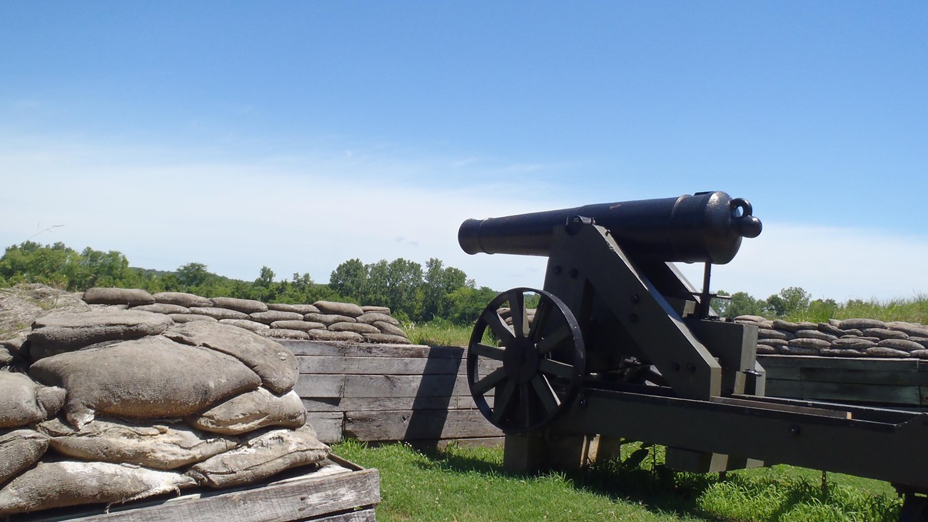 cannon and carriage