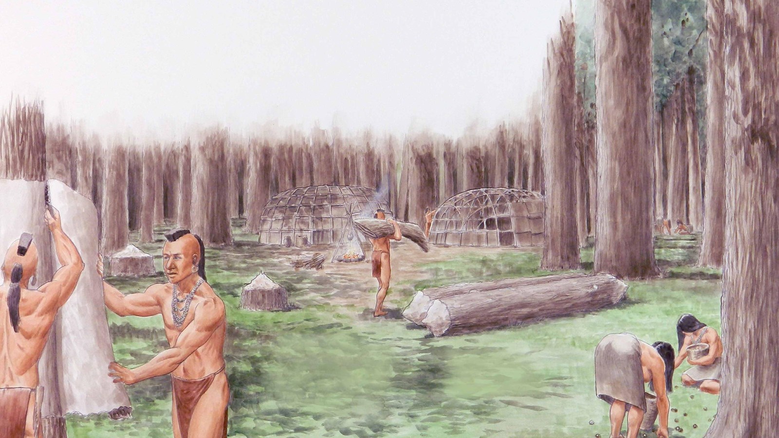 Drawing of Native Americans in a woodland habitat