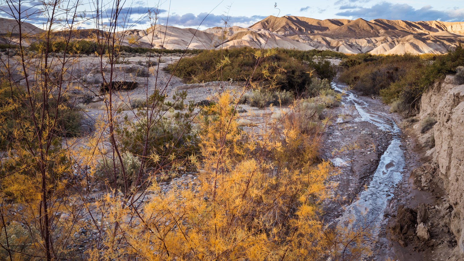A rive runs through a highly eroded desert canyon.