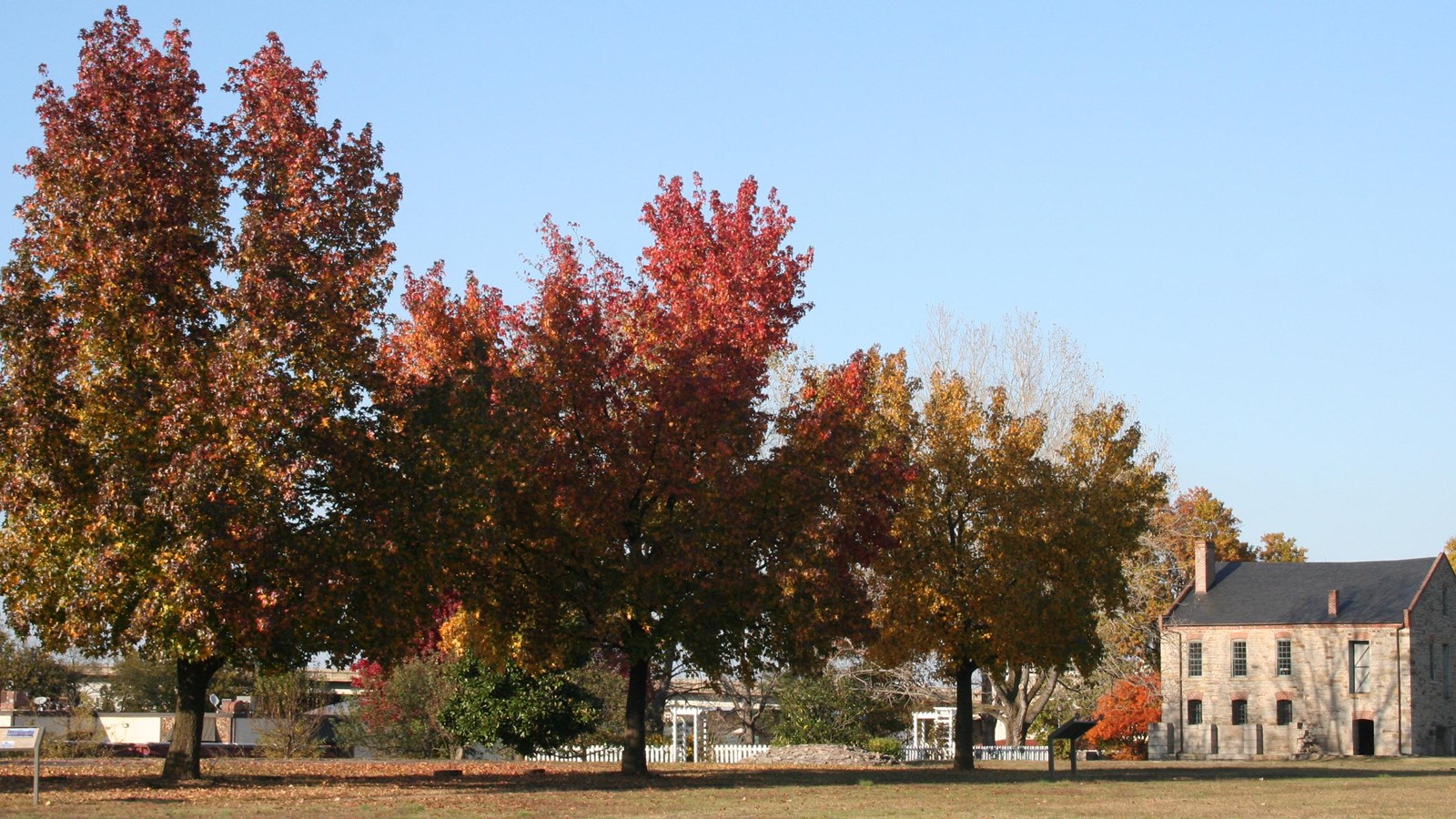 Three trees with red, orange, and green leaves in a row. Tan stone commissary in the distance.