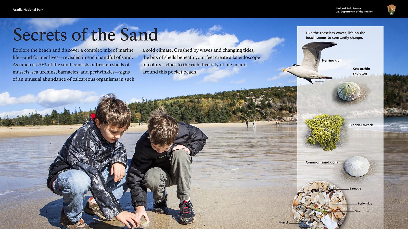 Title: Secrets of the Sand; Background image of two children kneeling down on wet sand to explore.