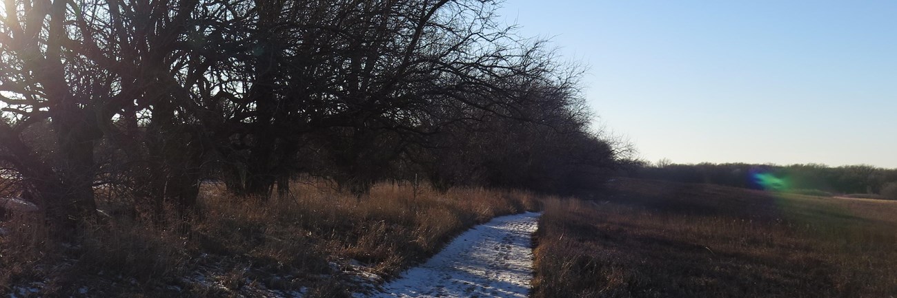 Prairie trail at Homestead National Monument