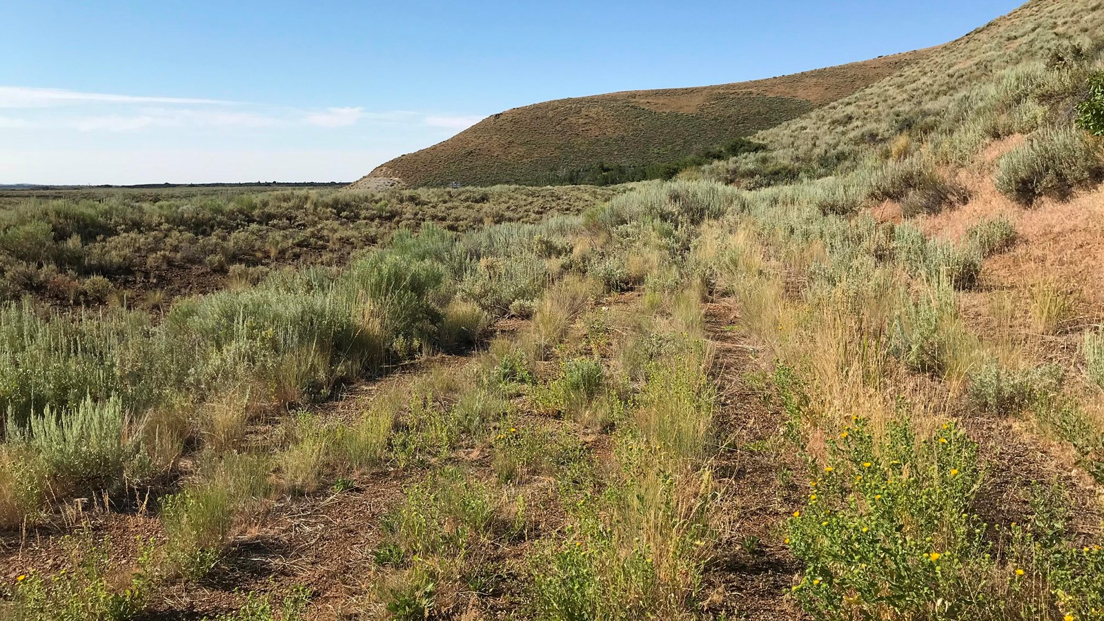 A grassy path leads through a rocky landscape.