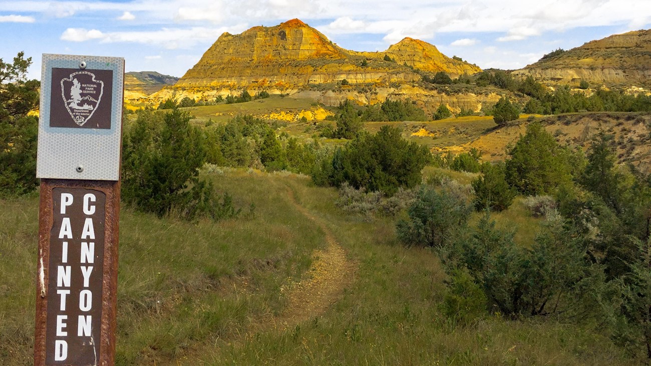 A view up a trail towards a butte through junipers. A trail marker reads Painted Canyon.