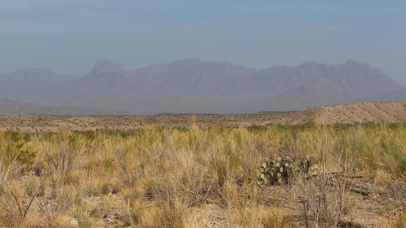 A line of mountains in the distance is obscured by bad air quality.