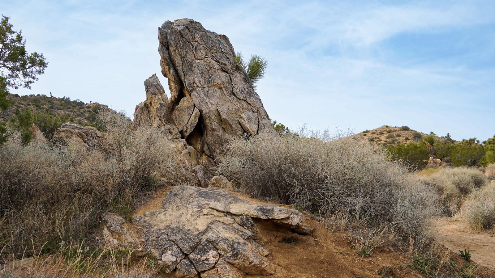 A large boulder with black, white, and brown colors surrounded by desert shrubs.