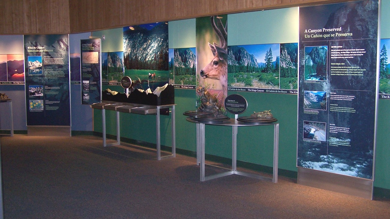 A museum display at Kings Canyon Visitor Center