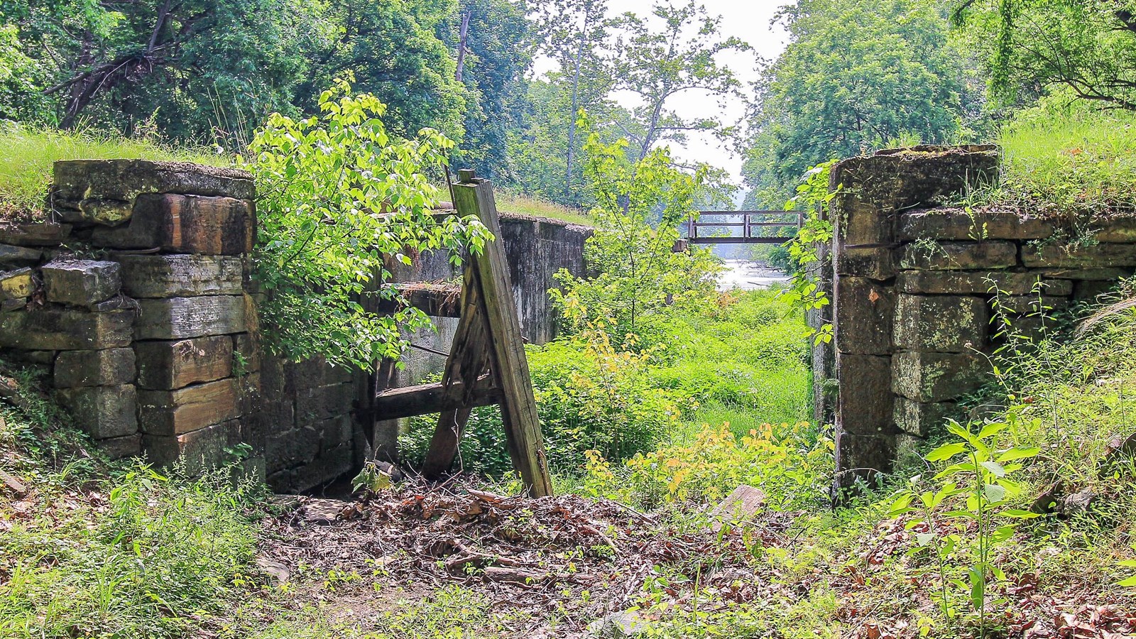 A look through a lock to the other side. The grass covered lock walls stand on the right and left.