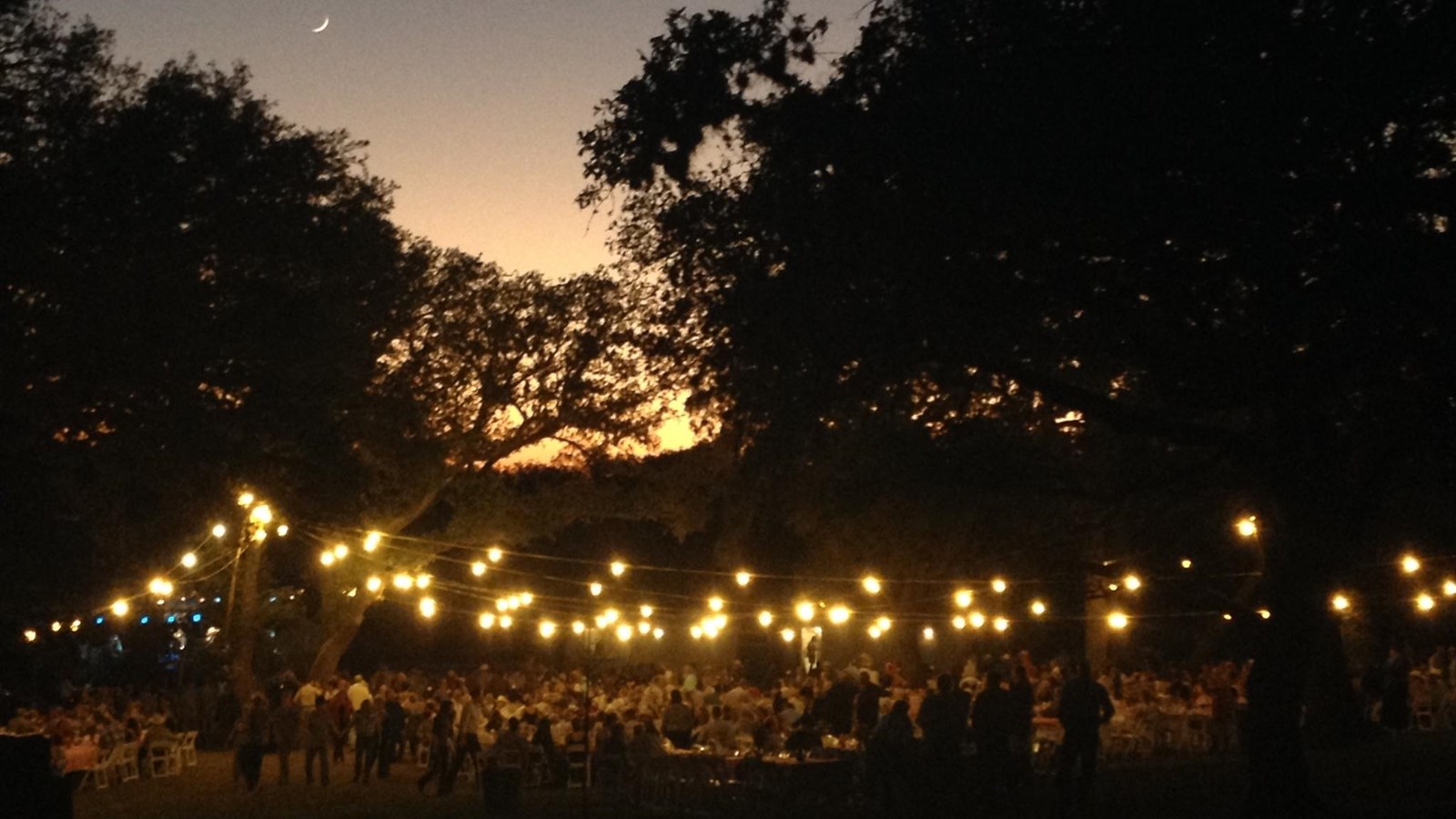 Under a twilight sky and shadowed trees, lights are strung above a large gathering of people.