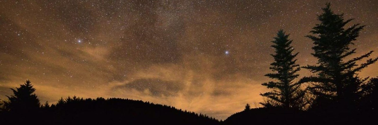 Night sky with multitude of stars over silhouetted tree topped mountains