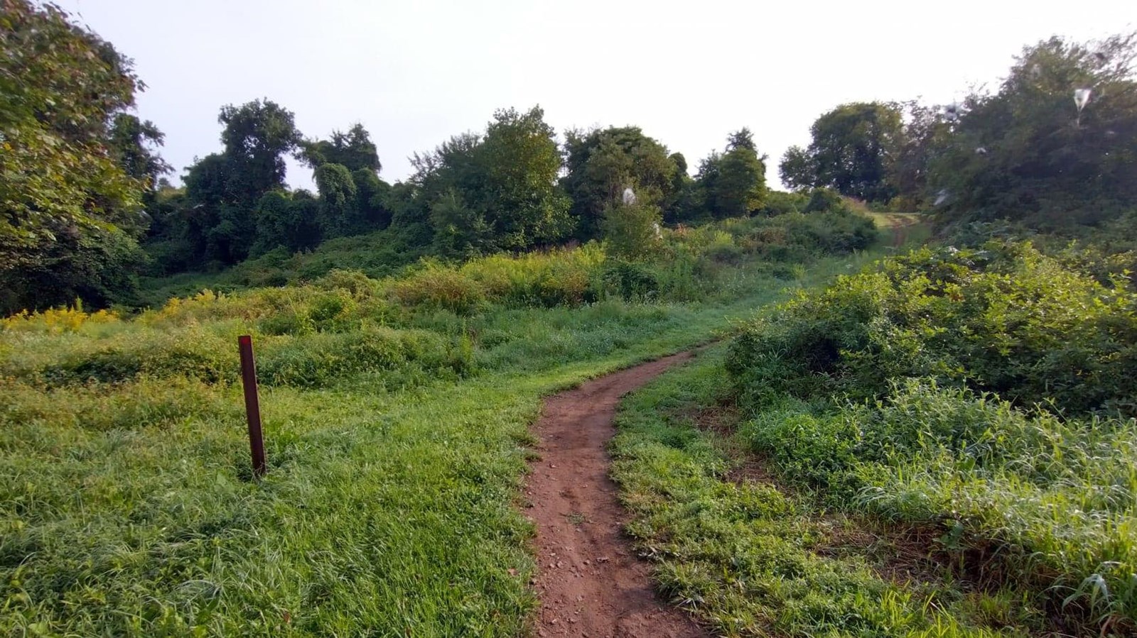 A dirt trail surrounded by green flora leads hikers up hill.