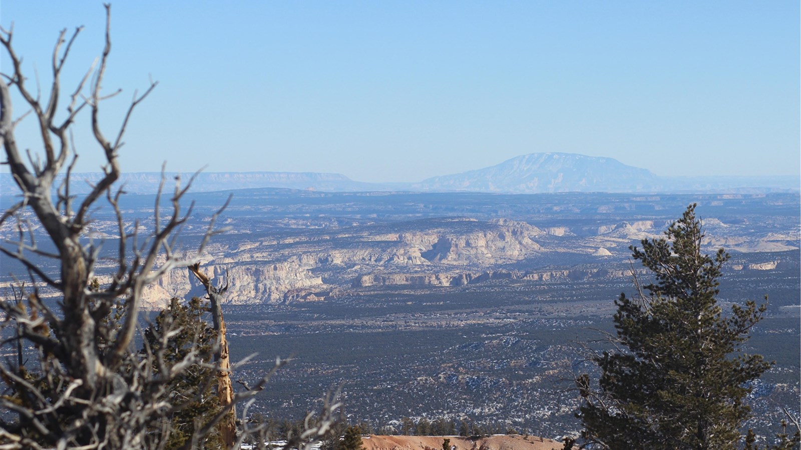 A distant view of a rounded mountain beyond rocky cliffs and pine trees