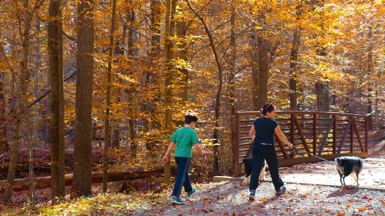 Two people walking on a trail surrounding by leaves changing color.