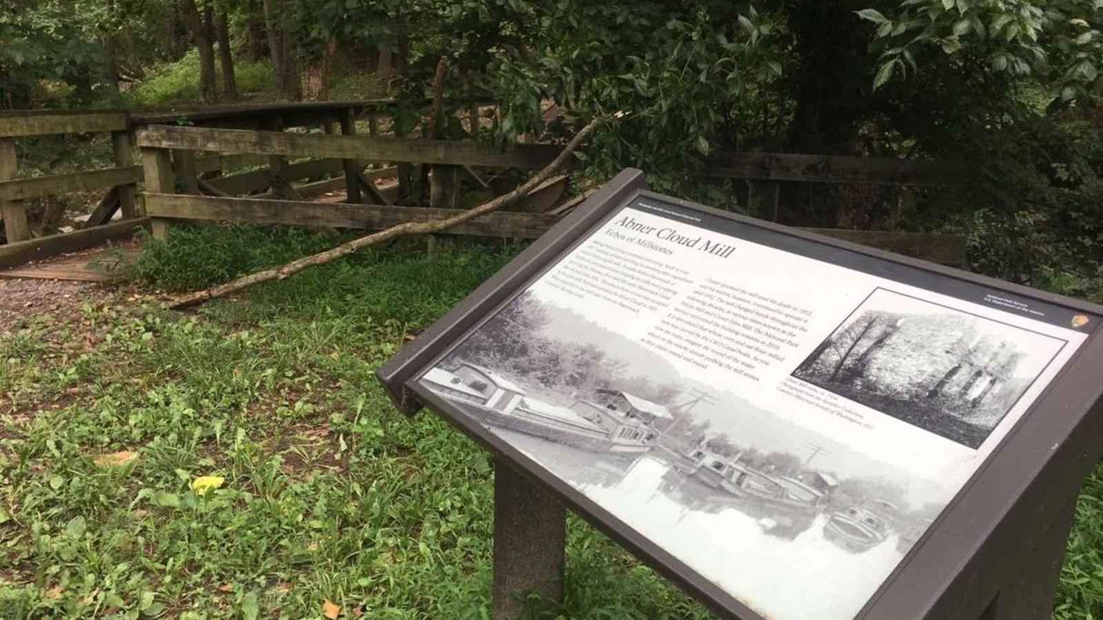 An interpretive panel stands under a thick canopy of trees; a wooden fence is in the background