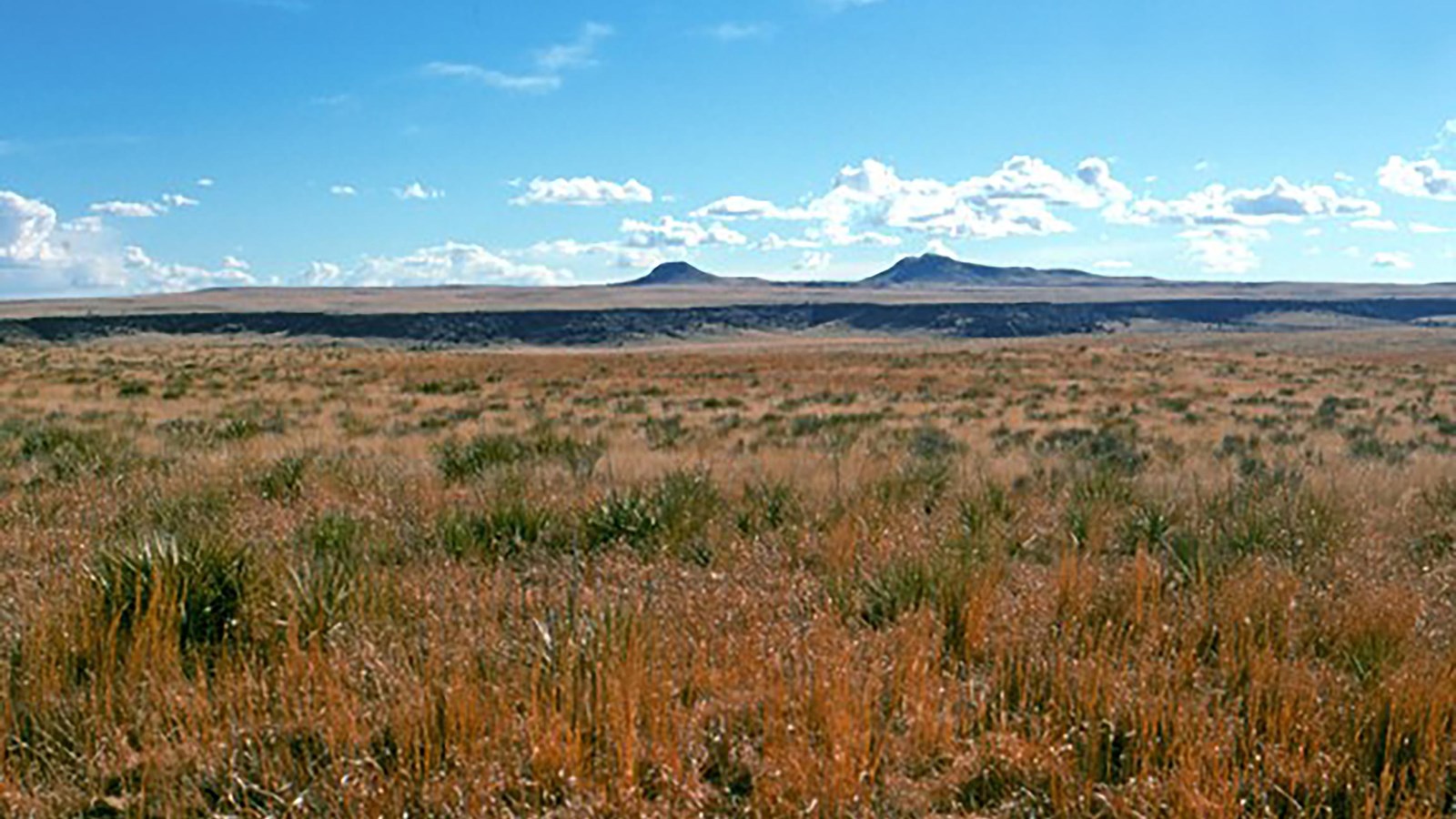 Grassland with double-peaked mountain in the distance 