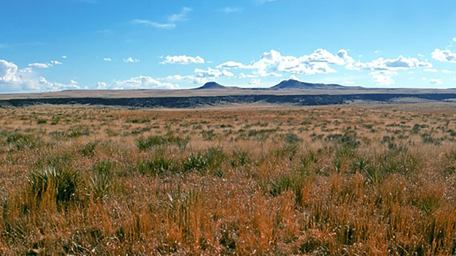 Grassland with double-peaked mountain in the distance 
